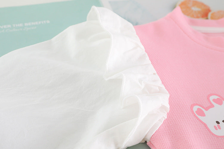 3D Flower Lace Sleeve Long Sleeve Princess Pink Baby Girl Dress